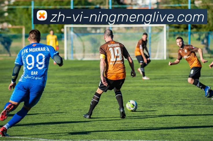 柠檬直播APP 封面图